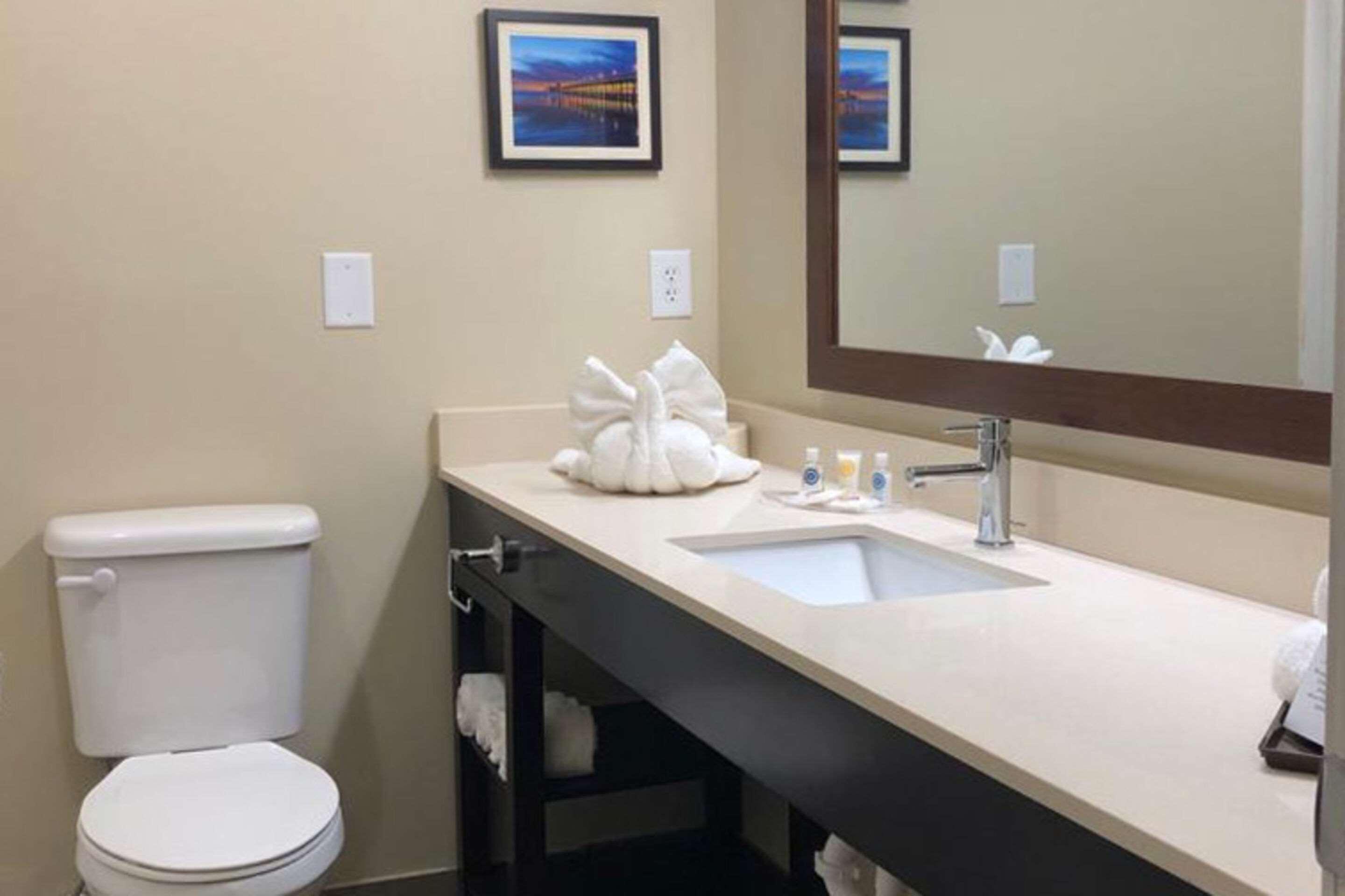 Comfort Suites Near Camp Lejeune Jacksonville Exteriér fotografie