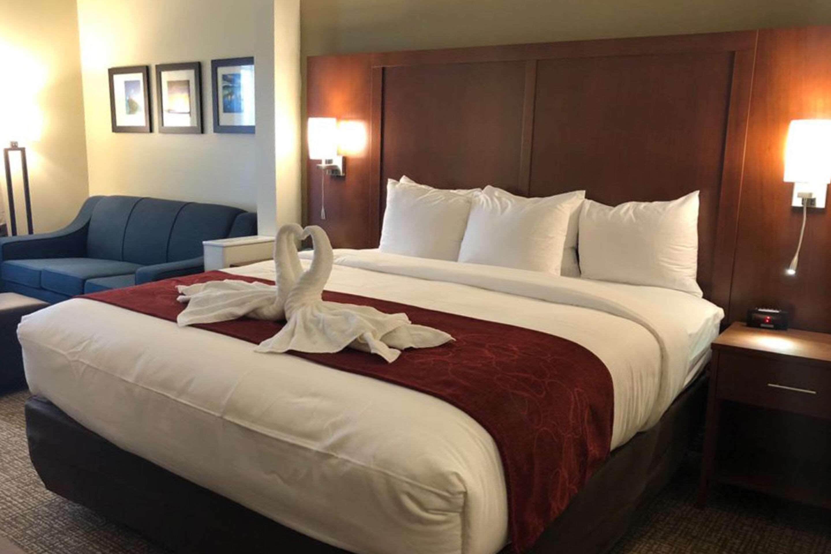 Comfort Suites Near Camp Lejeune Jacksonville Exteriér fotografie