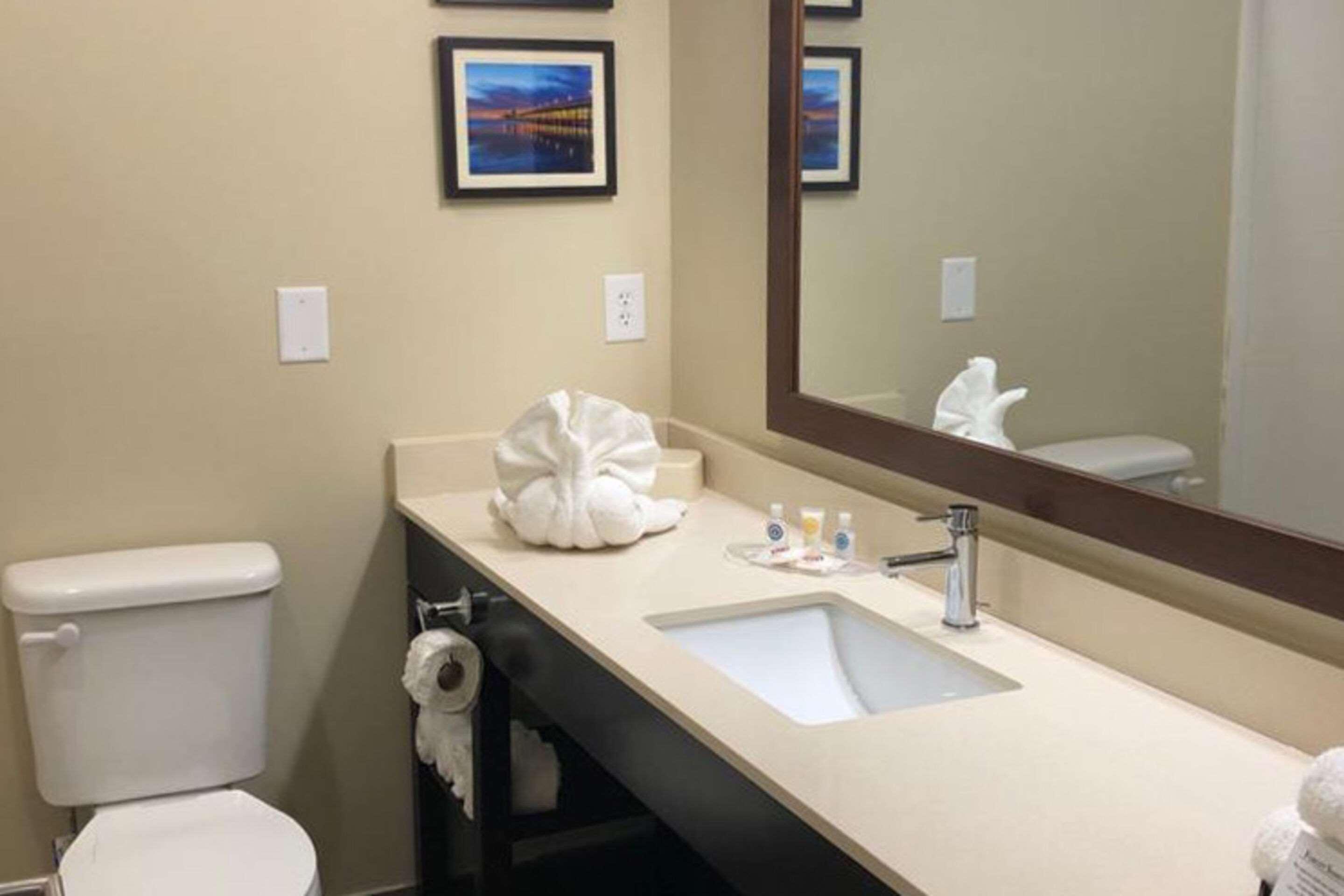 Comfort Suites Near Camp Lejeune Jacksonville Exteriér fotografie